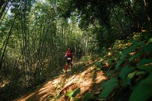 BIB: 
                            <button type="button" onclick="openModal(28141276)" class="btn btn-primary btn-sm float-right btn-popup" data-toggle="modal" data-target=".modal-high-quality">
                        <i class="fas fa-shopping-cart"></i> Add to Cart
                    </button>
                                            <button type="button" onclick="isThisMe(28141276, true)" class="btn btn-success btn-sm float-right btn-popup btn-isme hidden" data-toggle="tooltip" data-placement="bottom" title="นี่คือรูปของคุณใช่ไหม คลิกที่นี่เพื่อเอาเข้าอัลบั้ม">
                        <i class="fas fa-plus"></i> Add to album
                    </button>
                    <button type="button" onclick="isThisMe(28141276, false)" class="btn btn-warning btn-sm float-right btn-popup btn-isnotme hidden">
                        <i class="fas fa-ban"></i> Remove from album
                    </button>